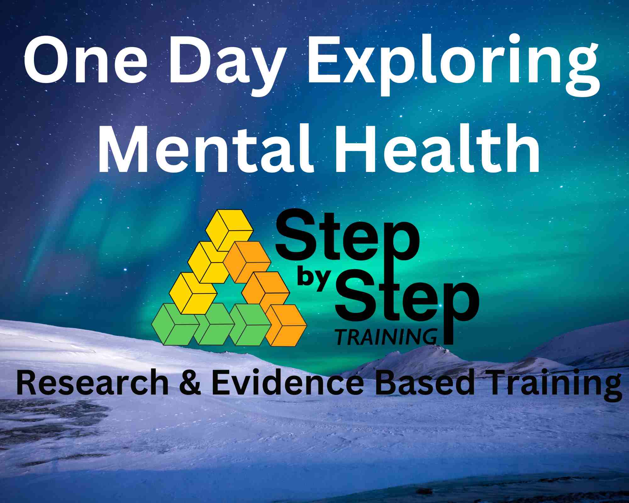 One day mental health training
