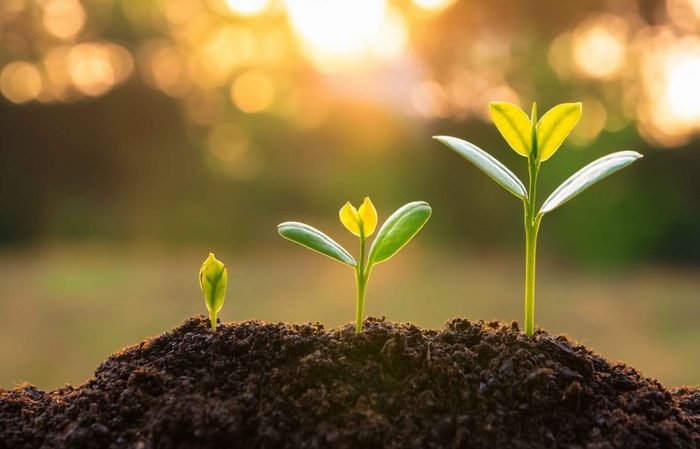 Emotional Intelligence takes time to grow and needs nurturing 